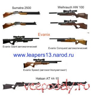 Самый широкий выбор настоящего пневматического оружия Evanix, Sumatra, Weihrauch 100, Hatsan AT44-10