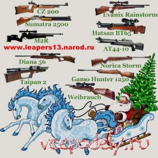 Новогодние подарки, не ослабленная пневматика для охоты CZ 200, Sumatra 2500, M2R, Diana, Evanix   