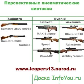 Перспективные пневматические винтовки Evanix, Sumatra 2500, Weihrauch HW100, Hatsan BT65 Elite   